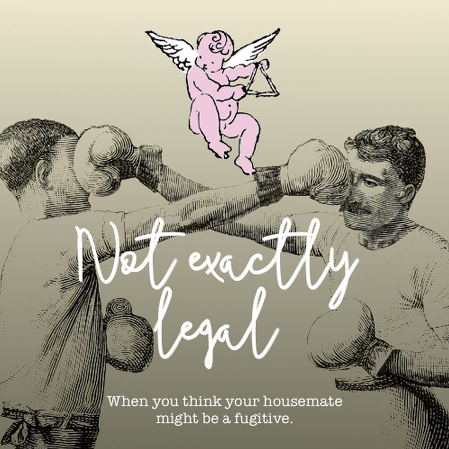 Cover art for Not Exactly Legal