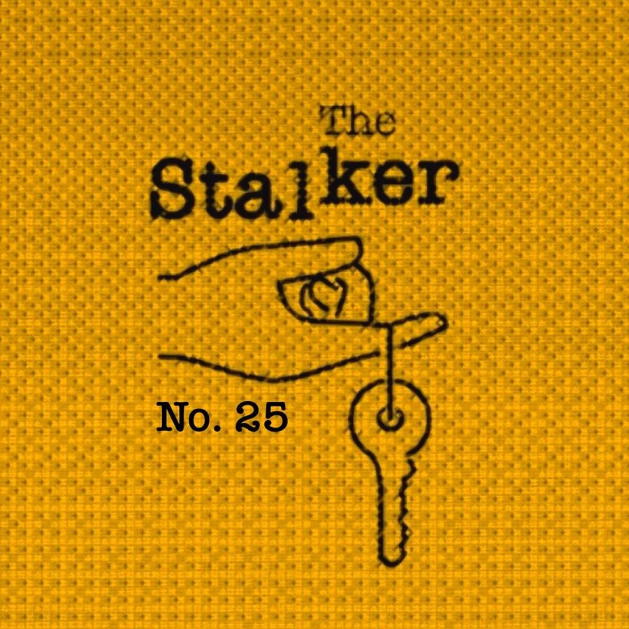 Cover art for The Stalker