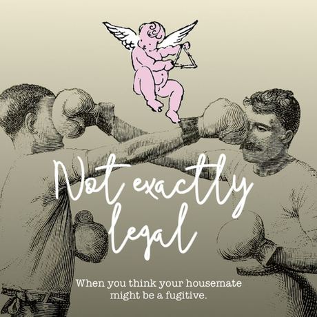 Cover art for Not Exactly Legal