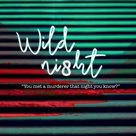 Cover art for Wild Night