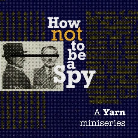 Cover art for How Not to Be a Spy